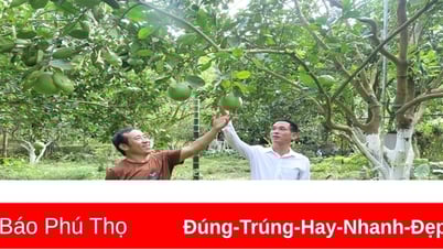 ប្រែក្លាយឯកទេសក្នុងស្រុកទៅជាផលិតផល OCOP