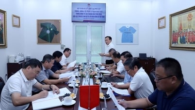 VFF và Cục Cảnh sát hình sự, Bộ Công an tăng cường công tác phòng chống tiêu cực trong bóng đá