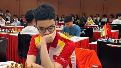 Kỳ thủ Hà Nội Bành Gia Huy giành chuẩn Đại kiện tướng quốc tế