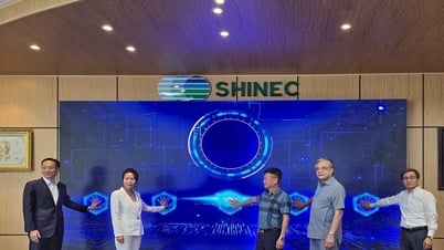 Hải Phòng: Công bố giải pháp số quản lý phát thải carbon tại KCN Nam Cầu Kiền