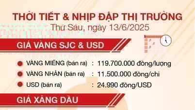 Thời tiết & nhịp đập thị trường 13/6
