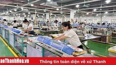 Phát huy vai trò của nữ công nhân, viên chức, lao động trong các phong trào thi đua