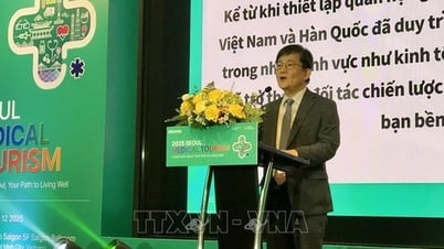 Kết nối doanh nghiệp du lịch y tế Thành phố Hồ Chí Minh và Seoul, Hàn Quốc