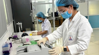 The head of the medical professional agency under the provincial People's Committee has the authority to appoint forensic experts.