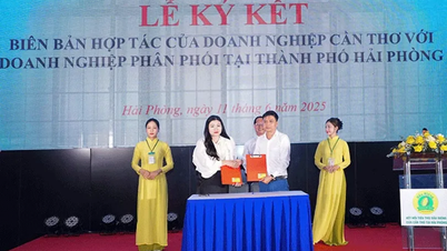 Festival zum Kennenlernen und Verzehren von Durian-Produkten aus Can Tho in Hai Phong