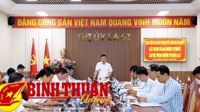 ប្រធាន​គណៈកម្មាធិការ​ប្រជាជន​ខេត្ត​ចុះ​ពិនិត្យ​ការ​ច្របាច់​បញ្ចូល​គ្នា​នៃ​អង្គភាព​រដ្ឋបាល​ថ្នាក់​ឃុំ​ក្នុង​ក្រុង La Gi