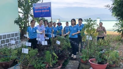 គំរូជាក់ស្តែងនៃសួនរុក្ខជាតិឱសថ