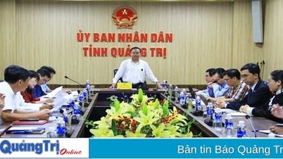 Đề xuất dự án sản xuất công nghệ bán dẫn hơn 96 tỉ đồng ở Quảng Trị