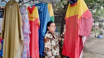 ទីផ្សារចម្រុះនៃការផ្គត់ផ្គង់រដូវវស្សា