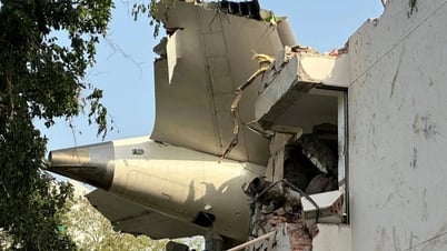 Pourquoi seule la personne assise au siège 11A de l’avion a survécu, alors que 241 passagers sont morts ?