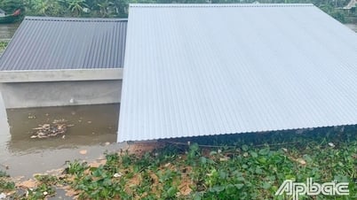 Tien Giang ៖ បាក់​ដី​ឃ្លាំង​១​ខ្នង​និង​ផ្ទះ​២​ខ្នង​ធ្លាក់​ចូល​ប្រឡាយ​២៨