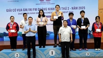 Việt Nam giành nhiều giải cao tại giải cờ vua quốc tế