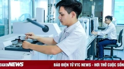 Công nghệ 13/6: Chính phủ phân định thẩm quyền lĩnh vực KH&CN