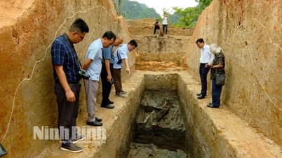 Hội thảo Báo cáo sơ bộ kết quả khai quật khảo cổ địa điểm Tường thành Dền thôn Chi Phong, xã Trường Yên