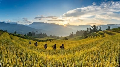 Lao Cai determined to turn Sa Pa, Y Ty and Bac Ha into top destinations in the Northwest region