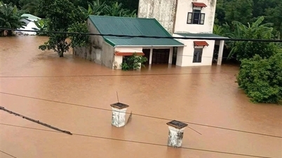 Las inundaciones provocaron que 300 casas se inundaran en el distrito de Dai Loc, provincia de Quang Nam.