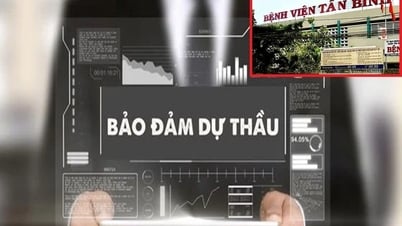 Xử lý nhà thầu trúng thầu nhưng không thực hiện hợp đồng?