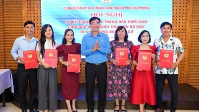市人民委員会労働組合は2025年の最初の6か月を総括し、草の根労働組合の組織を完成させる