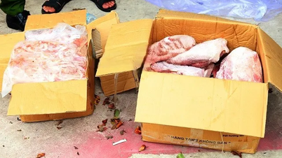 Binh Duong: Many frozen foods of unknown origin were discovered