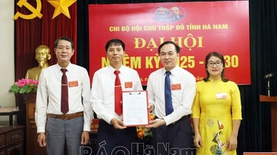 Chi bộ Hội Chữ thập đỏ tỉnh tổ chức Đại hội nhiệm kỳ 2025-2030