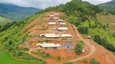 Reviving life after natural disaster