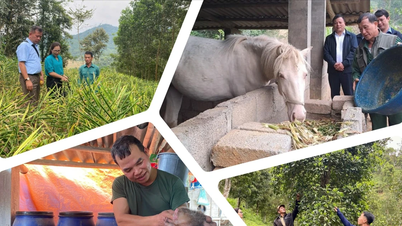គាំទ្រកសិករ - ផ្នែកទី 2៖ ត្រឹមត្រូវតាមគោលដៅ បង្កើនប្រសិទ្ធភាព