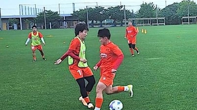 Vietnam women's team wins second match in training trip to Japan