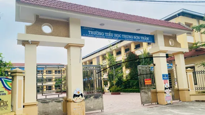 Vụ giáo viên đánh bảo vệ, quấy rối nữ đồng nghiệp: Giám đốc Sở Giáo dục Hà Nội lên tiếng