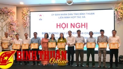 Khuyến khích các HTX tiếp tục đổi mới hoạt động