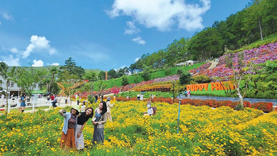 Những điểm du lịch Đà Lạt Tết Nguyên Đán 2025 cho trải nghiệm khó quên