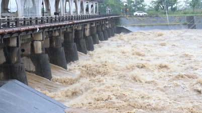 Hydroelectric power plants cut off floodwaters downstream to fill the lake, seasonal dam on Vinh Dien river was washed away