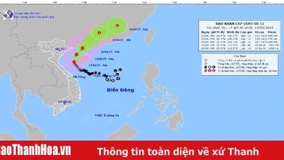 Bão Wutip cách đảo Bạch Long Vĩ khoảng 215km về phía Nam Đông Nam