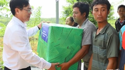 Công ty Điện Lực Ninh Thuận: Tặng quà cho các hộ nghèo, cận nghèo ở xã Phước Chiến