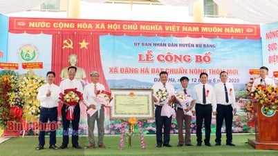 Dang Ha meets new rural commune standards