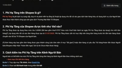 Shopee គិតថ្លៃហេដ្ឋារចនាសម្ព័ន្ធបន្ថែម 3,000 ដុង/ការបញ្ជាទិញ អ្នកលក់ព្រួយបារម្ភ