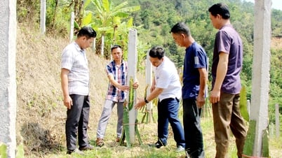 Hoàng Su Phì phát huy nội lực giảm nghèo bền vững