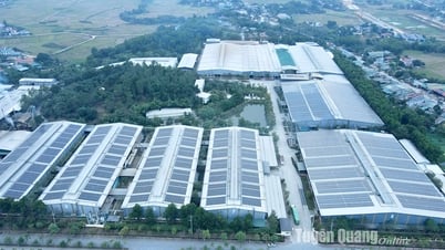 Businesses proactively respond to rising electricity prices