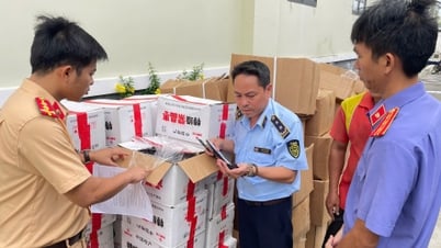 Inventory and destruction of goods worth more than 2.5 billion VND