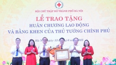 Tôn vinh 115 cá nhân, gia đình tiêu biểu trong phong trào Chữ thập đỏ, hiến máu tình nguyện