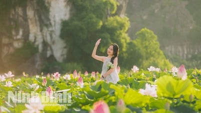 Sắc sen Hang Múa