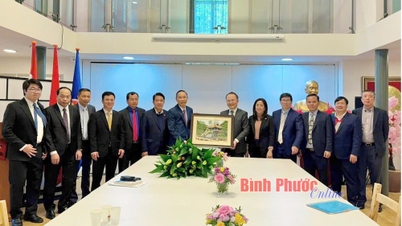 Dự án DHN - Biểu tượng hợp tác Việt Nam - Hà Lan
