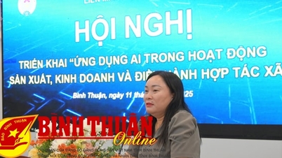 Ứng dụng AI trong quản trị, điều hành hợp tác xã