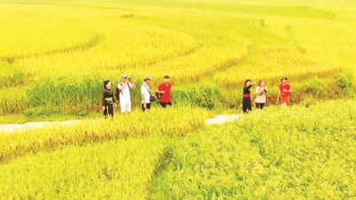 Nghĩa Đô, nhịp sống yên bình