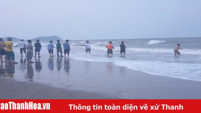 Nghe An៖ ទទួលបានជោគជ័យក្នុងការជួយសង្គ្រោះមនុស្សជាង ២០នាក់ ដែលប្រឈមនឹងការលង់ទឹកនៅឆ្នេរ Cua Lo