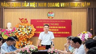 Hội Nông dân thành phố tổng kết 10 năm thực hiện Chỉ thị 05 và sơ kết công tác Hội, phong trào nông dân 6 tháng đầu năm 2025