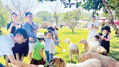 Chờ chính sách hỗ trợ mô hình du lịch nông trại