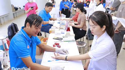 Ngày Tôn vinh người hiến máu (14-6): Hiến giọt máu đào, trao niềm hy vọng