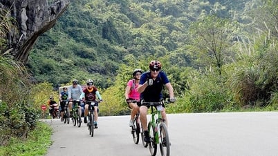 Thông tư quy định về phân cấp, phân định thẩm quyền của chính quyền địa phương 2 cấp trong lĩnh vực văn hóa, thể thao và du lịch