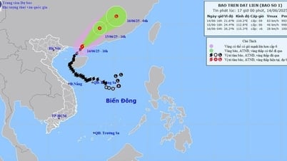 Thời tiết ngày 15/6: Bão số 1 suy yếu thành ATNĐ, Bắc và Trung Bộ nắng 'đổ lửa'