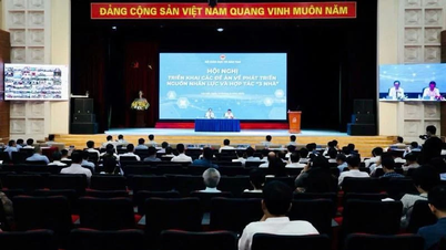 Tăng cường hợp tác "3 nhà" để phát triển nguồn nhân lực chất lượng cao